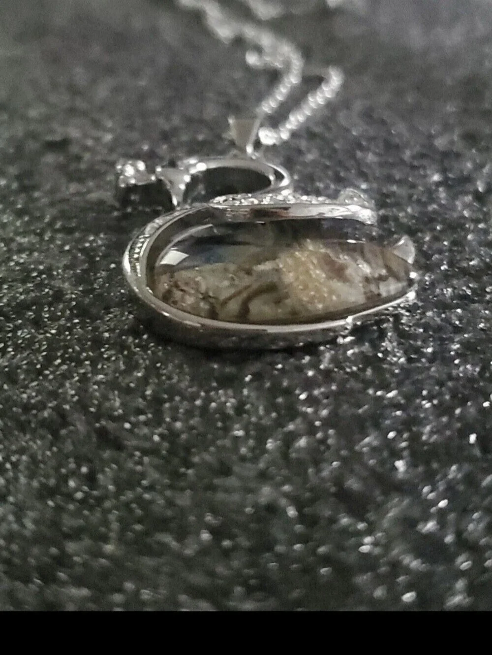 Abalone Shell Crystal Swan Queen Pendant Necklace in Polished Stainless Steel